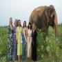 ब्रिटेन की मिस यूनिवर्स जेसिका पहुंचीं मथुरा, हाथियों के बीच बिताया दिन, बोलीं-हाथियों के साथ दुर्व्यवहार हो रहा