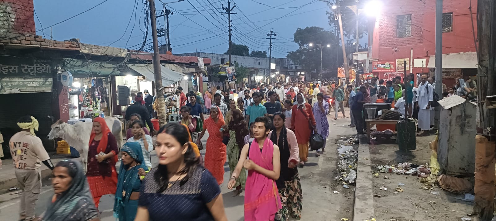 परमा एकादशी पर श्रीधाम वृंदावन में उमड़ा आस्था का सैलाब, लाखों श्रद्धालुओं ने लगाई पंचकोसीय परिक्रमा
