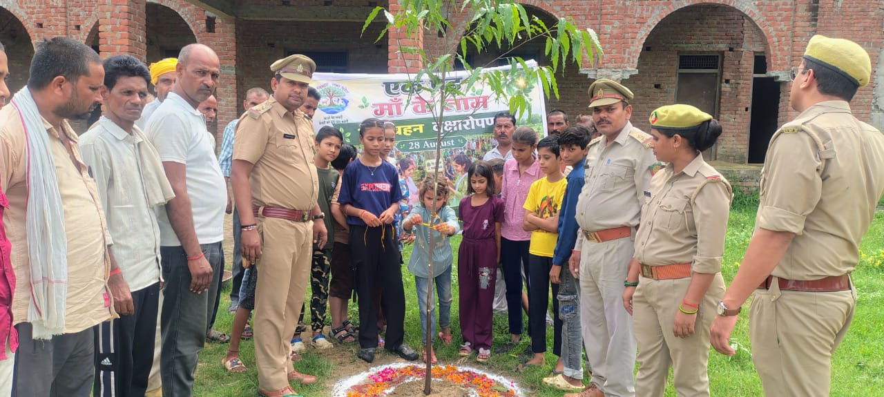 रक्षाबंधन के पर्व पर भाई-बहनों ने लगाए एक लाख से अधिक पौधे