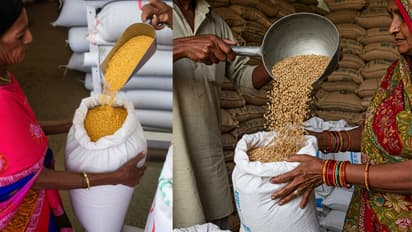 जीपीएस युक्त वाहनों के प्रयोग से यूपी में खाद्यान्न उठान में बढ़ी पारदर्शिता