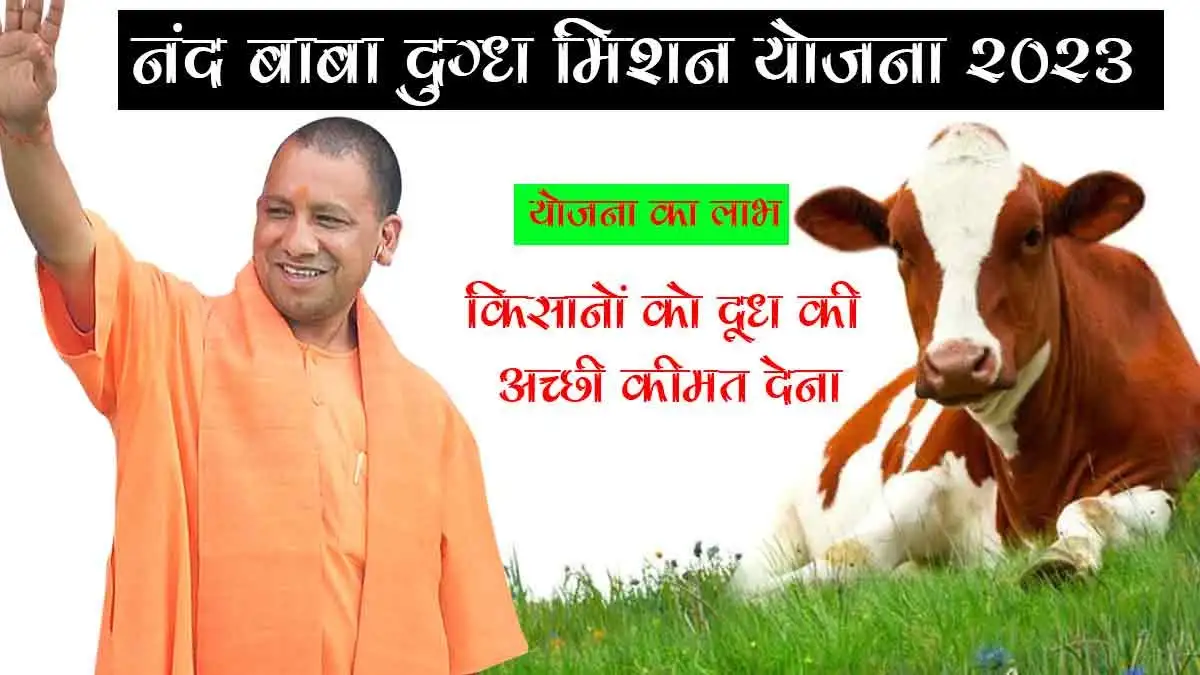नंद बाबा दुग्ध मिशन के अंतर्गत आगरा व अलीगढ़ मंडल के 762 लाभार्थियों को मिला 500 लाख रुपये से अधिक अनुदान
