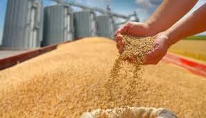 31 दिसंबर तक गिव अप अभियान के तहत खाद्य सब्सिडी नहीं छोड़ने वाले अपात्रों से होगी वसूली