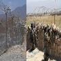 पाकिस्तान-तालिबान में सीमा विवाद को लेकर भिड़ंत, PAK का चेकपोस्ट उड़ाया